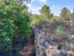 Boundary wall