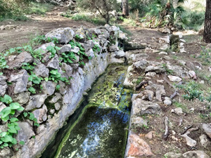 Font de la Sangonera.