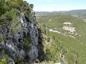 View from the Vulture lookout