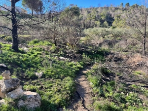About to cross the head of the Barranco