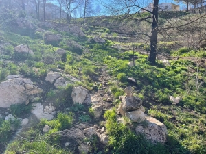 Coming to the top of Barranco Del Negro