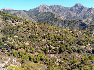 view across to summit of Lucero