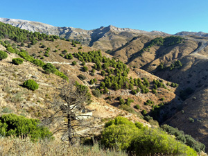 Ruin of old farmstead