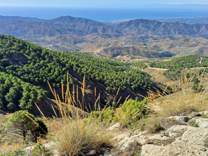 Looking down to coast