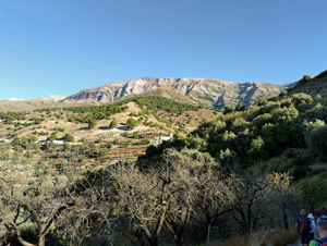 Small Hamlet in the hills