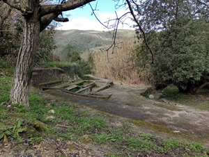 Font Mata picnic site