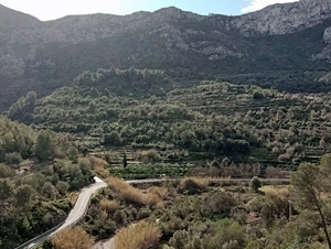 Craggy valley S side