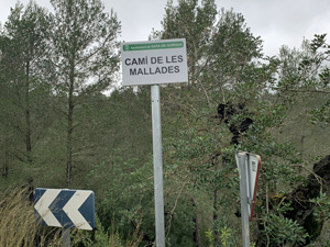 First street sign
