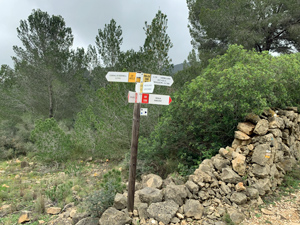Follow Corral De Borell CV412.2