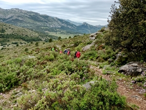 Path around Tossal del Vaquero