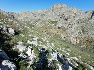 Looking down into Malafi