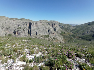 Looking across to Barranco Calvo
