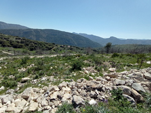 View SE from the high point
