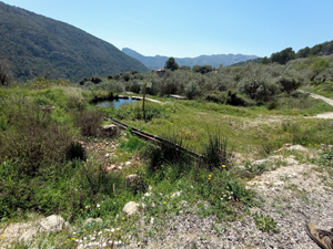 Font d'Espetla