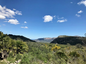 View from the ridge