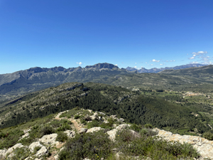 5. Downward trail on southern flank of El Cau Ridge