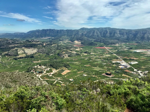 Looking north towards the peak of La Ratlla / Raya