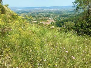 View over Beniatjar