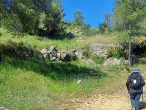 On the way to the Castle