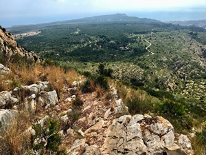 Looking over the Plana towards Cap Sant Antoni from the path to