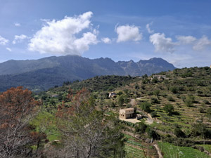 Views towards Bernia with countryside