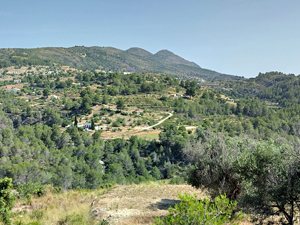 Lloma Larga in distance