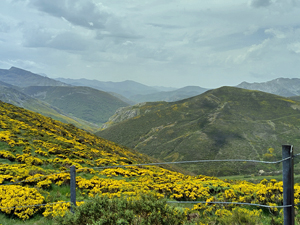 Extensive views of neighbouring peaks