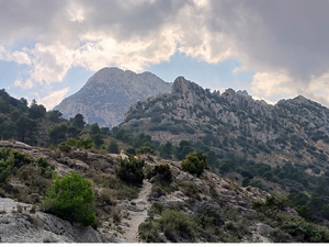 Looking up to coll de Llam with Puig Campana in distance
