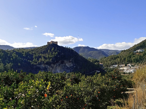 Forna village and castle
