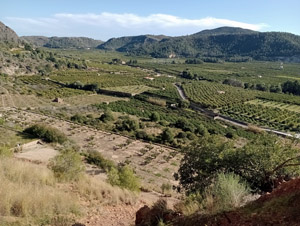 Views towards the East and South