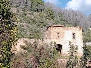 Not many ruins available for sale near here